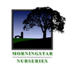 MORNINGSTAR NURSERIES LLC